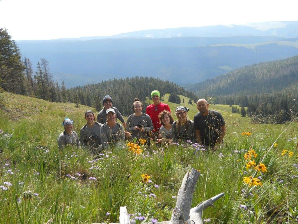 Small group of people in the mountains with wildflowers in the foreground.