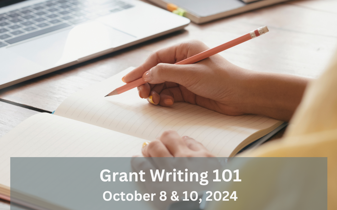 Grant Writing 101 virtual workshop