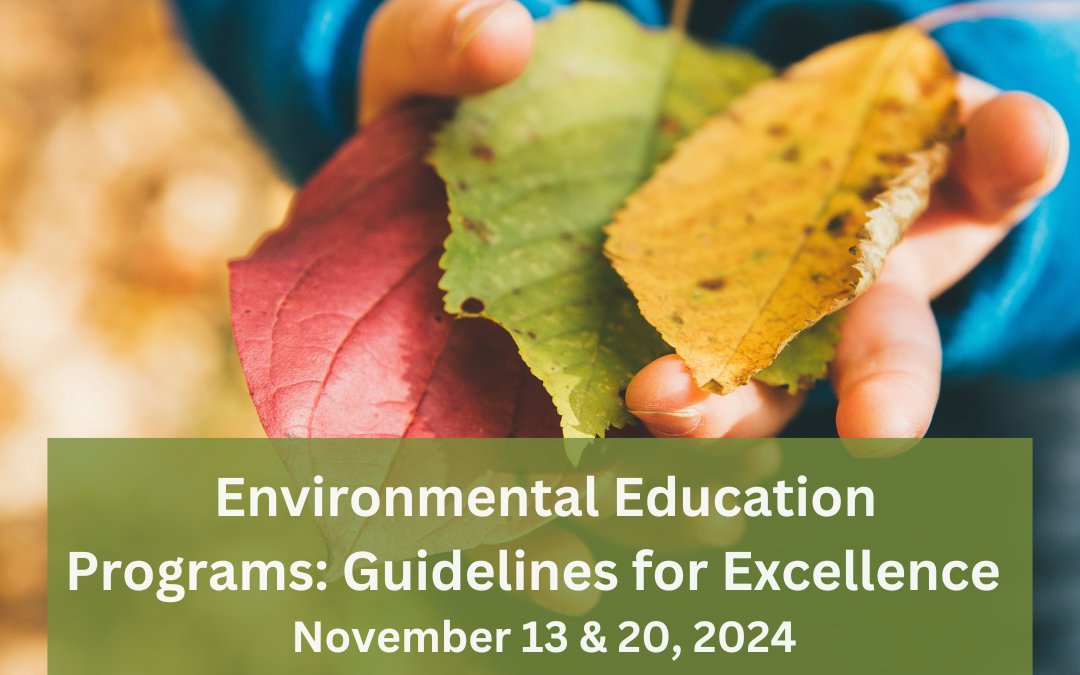 Environmental Education Programs: Guidelines for Excellence virtual workshop