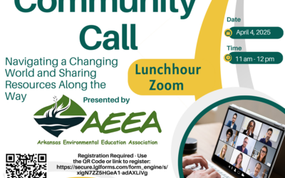 AEEA April Community Call