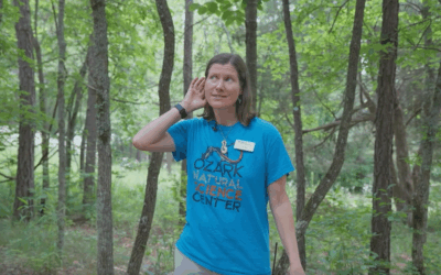 Liz Hill: For the Love of Nature