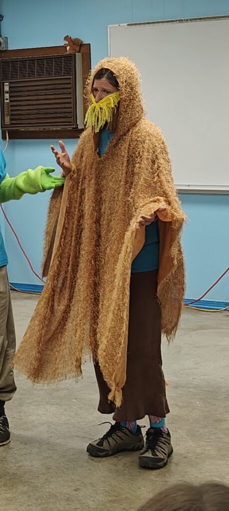 Woman dress as the Lorax.