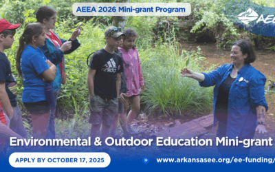 AEEA Mini-grant Applications Open