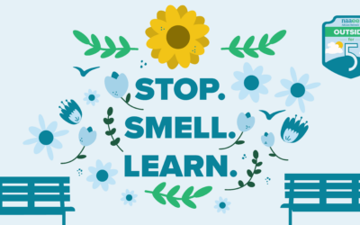 Outside for 5 in 2026