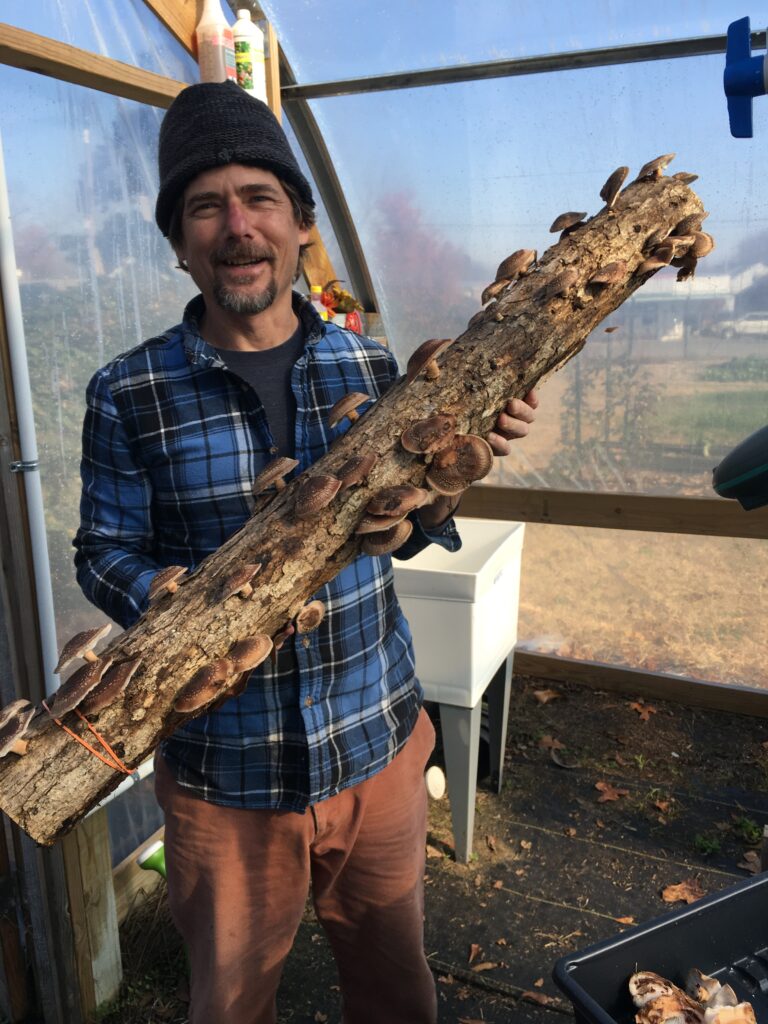 man holding a log with mushrooms on it