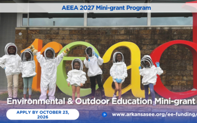 AEEA Mini-grant Applications Open